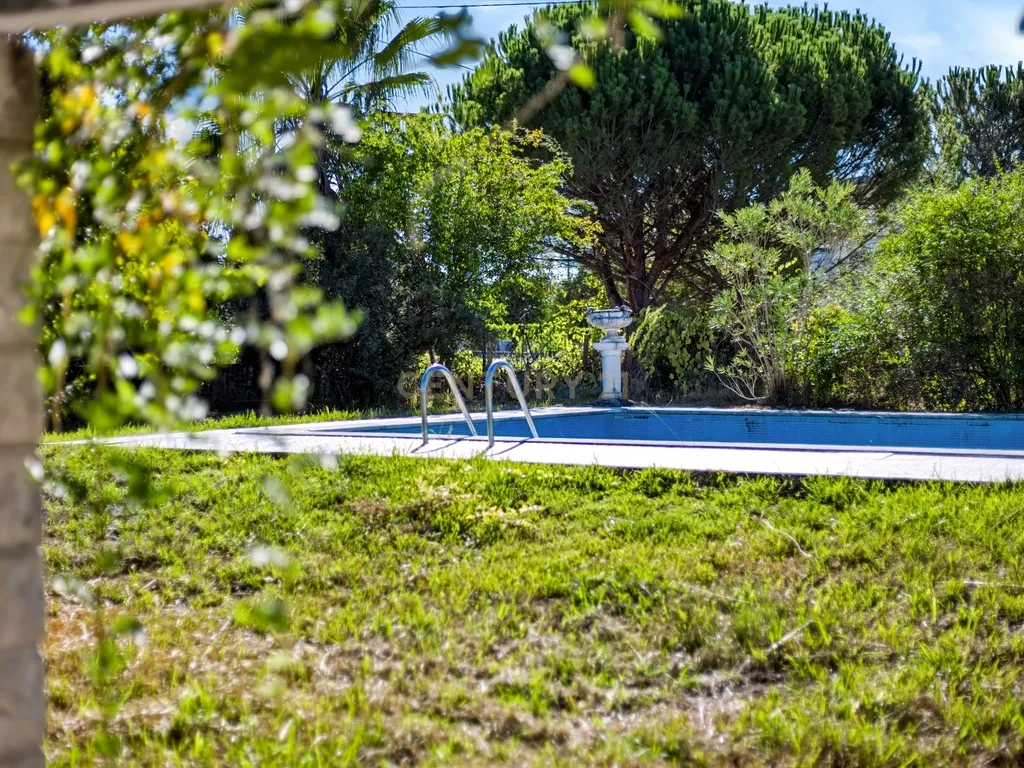 Moradia com 5.100 m² de terreno e vista para o Castelo de Tomar - Image 49