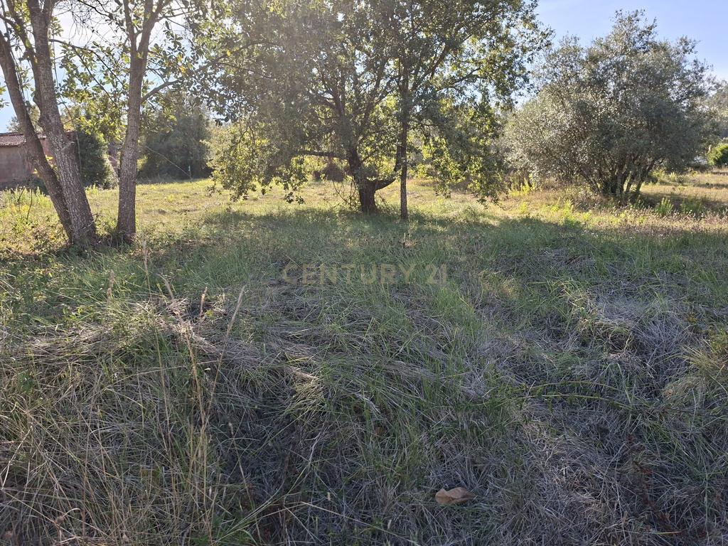 Terreno em Pombal com Vista Panorâmica e Acessos Convenientes - Image 35