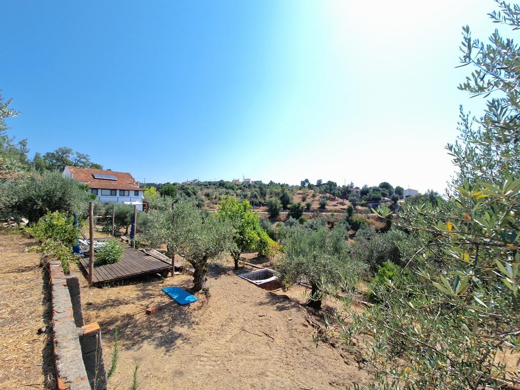Encantadora propriedade rural | Oportunidade única de investimento - Olalhas, Tomar - Image 40