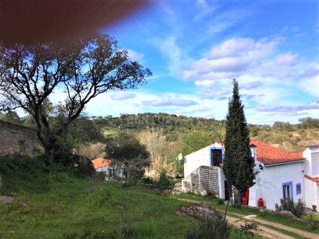 Quinta Típica Alentejana, Licença de Turismo Rural, Arrendamento, Arraiolos - Image 43