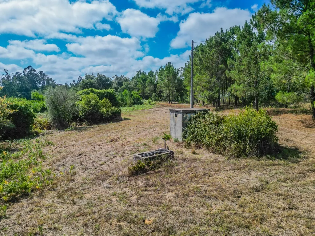 Propriedade com duas casas para reabilitar, terreno e poço na Costeira – Figueira da Foz - Image 21