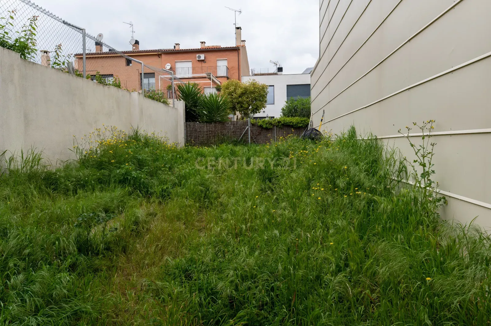 - Image 8