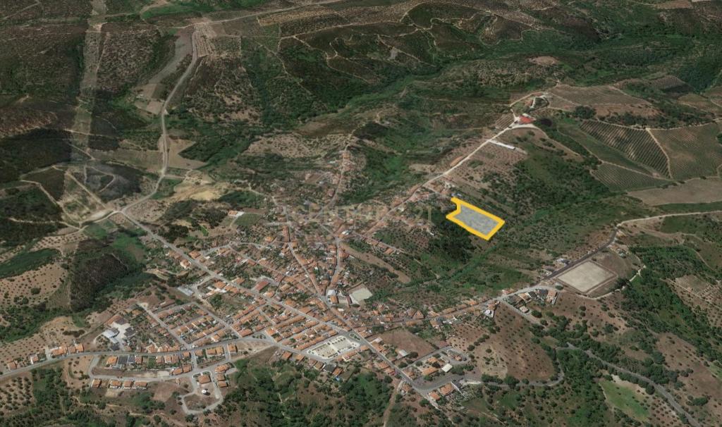 Terreno de 8280m² com cultura Arvense variada em Abrantes - Image 3