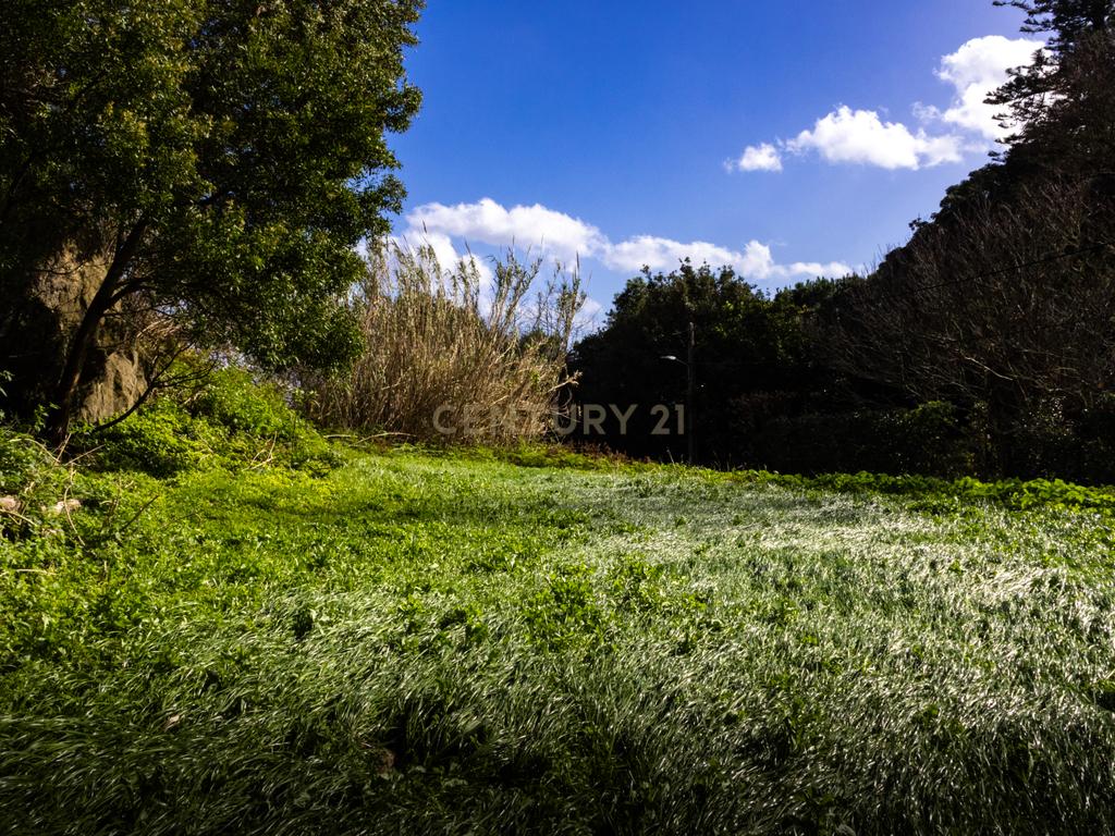 Terreno urbano para construção na Caloura, Lagoa - Vista Mar - Image 8