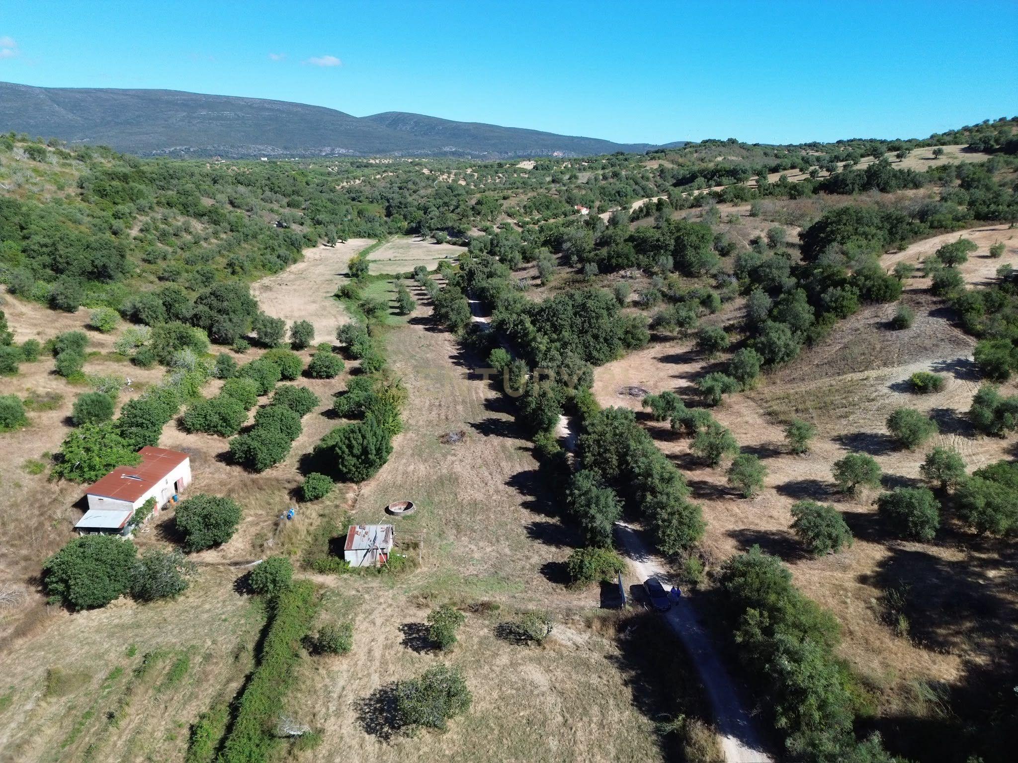 Fotografia 8 de Terreno Rústico com 29.880 m² nas Lapas, Torres Novas