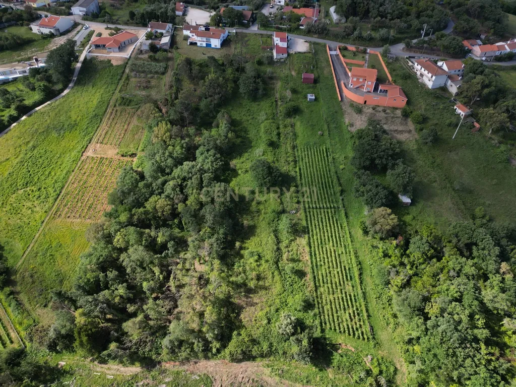 Terreno para construção - Bemposta, Maiorga, Alcobaça - Image 4