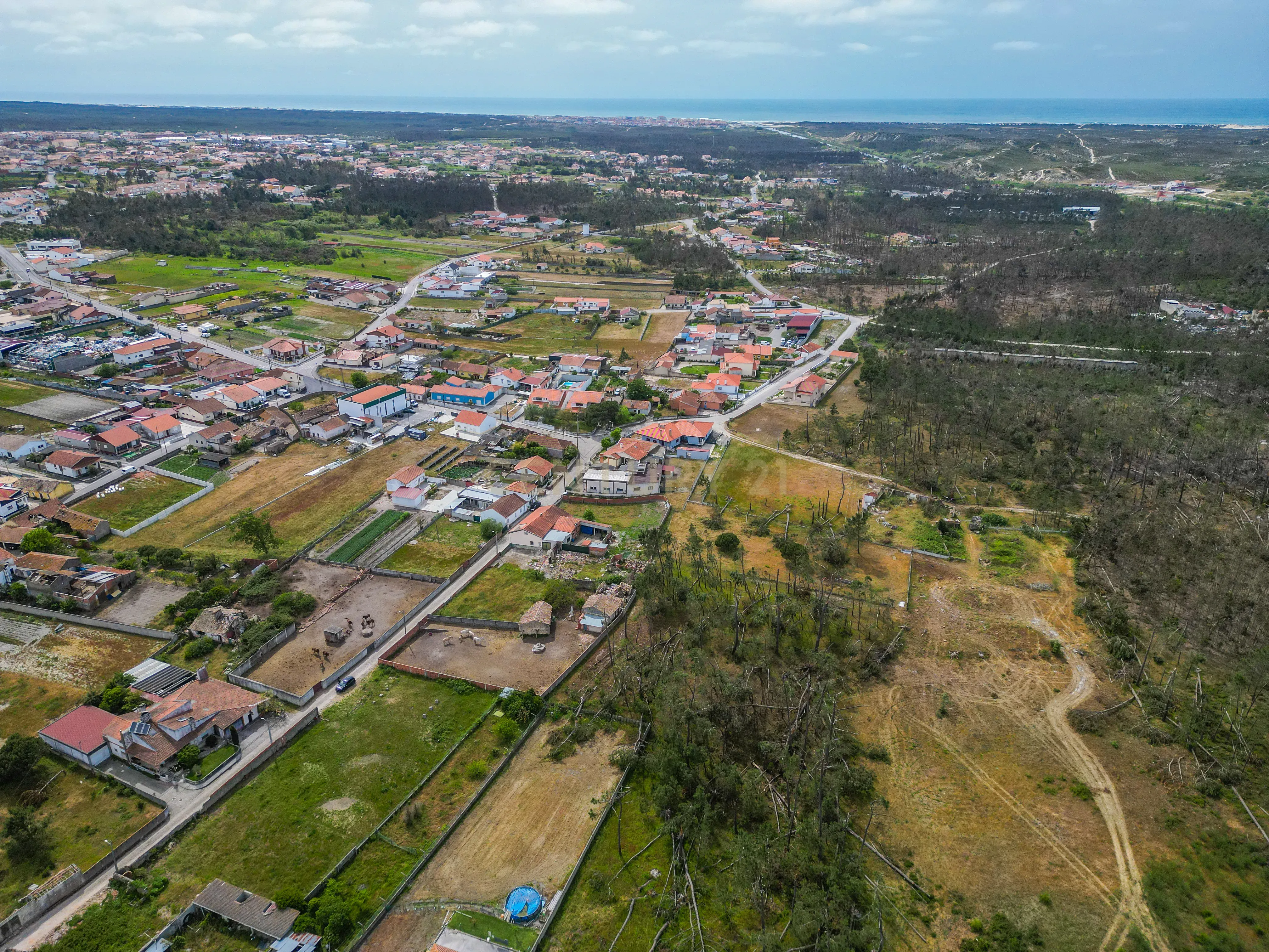 Fotografia 7 de Moradia Rústica para reabilitar em Vieira de Leiria, com terreno, a cerca de 5 minutos da Praia da Vieira