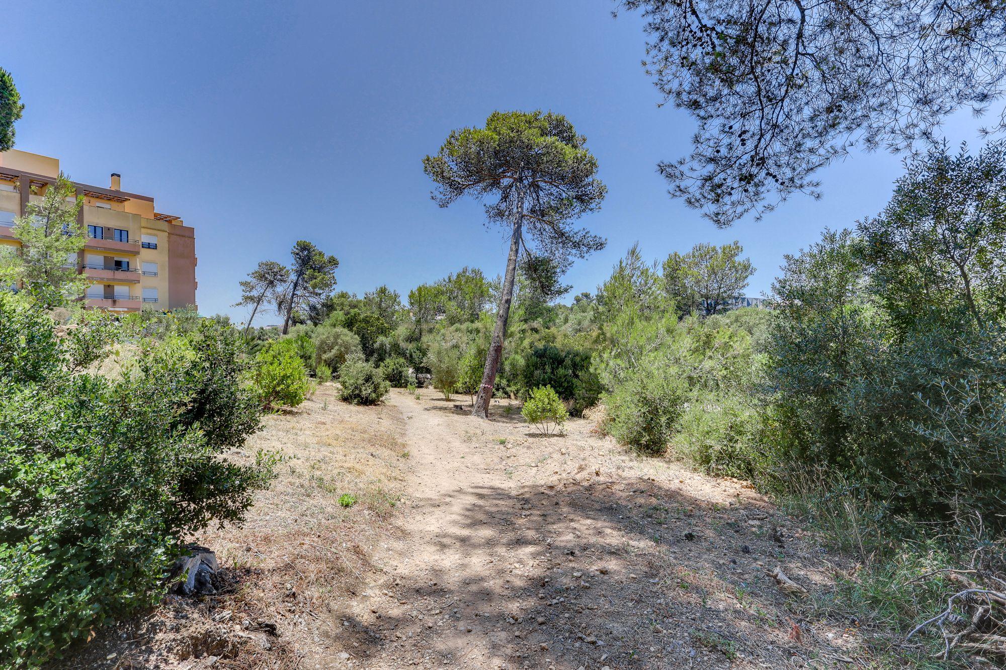 Apartamento T2 à venda em Cascais e Estoril, Cascais — foto 35