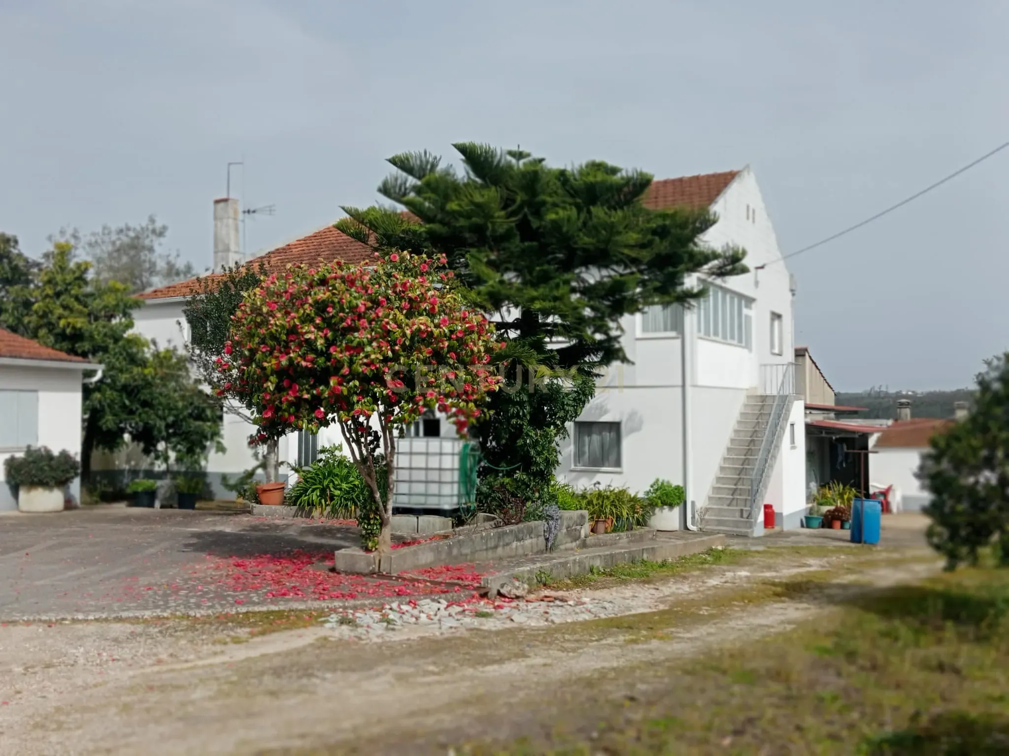 Moradia T6+ à venda em Atouguia, Ourém — foto 2