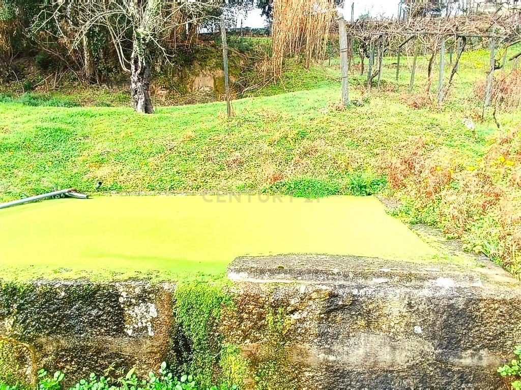Belíssima ruína em terreno verdejante com vista deslumbrante para o Rio Douro, Baião, Porto - Image 26