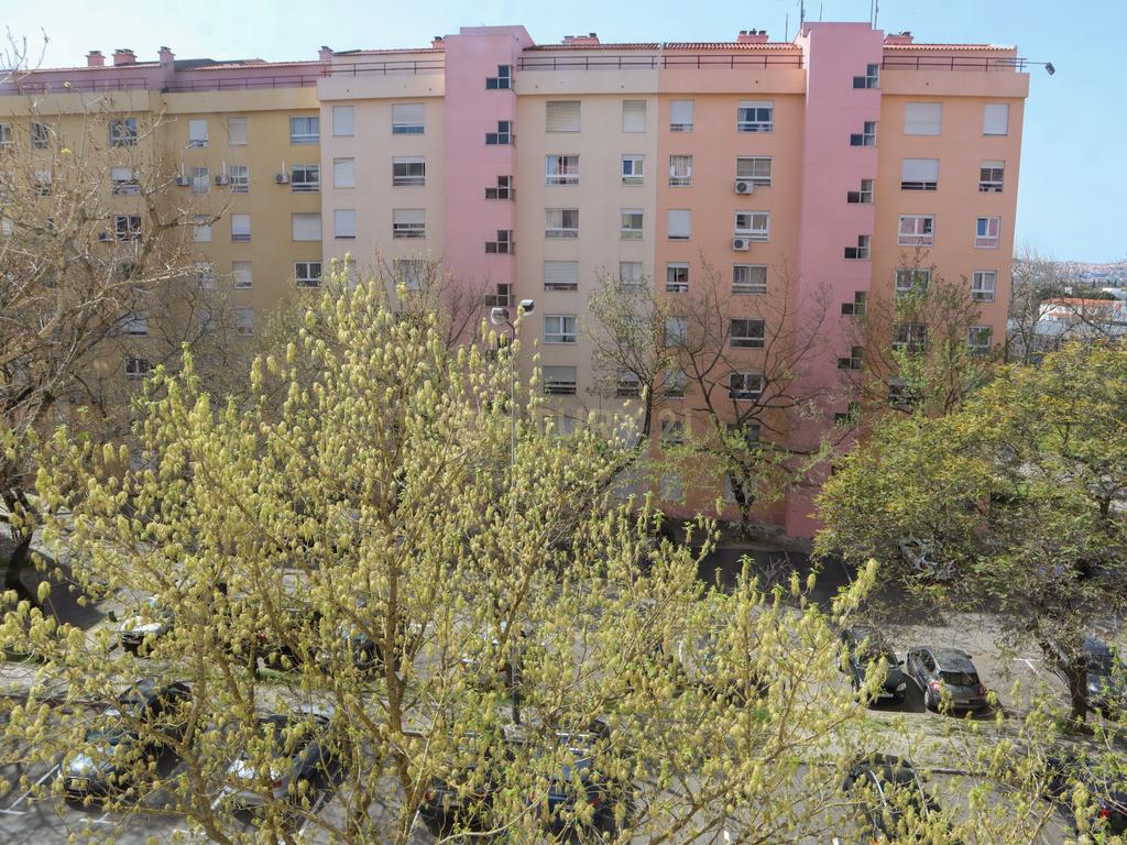 Apartamento T2 | Arrendamento | Telheiras - Image 25