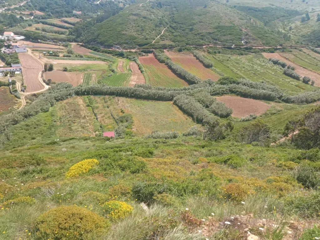 Terreno em Sintra, Perto da Praia de São Julião - Image 11