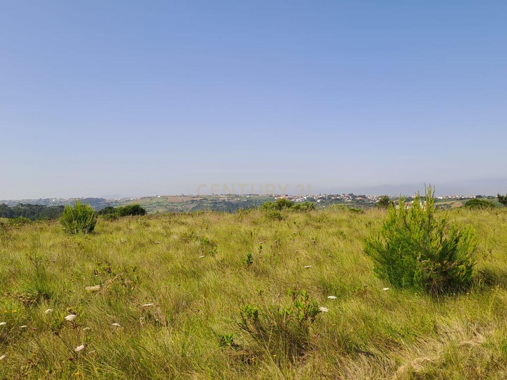 Terreno Rústico com Vista Panorâmica – Forte do Zambujal, Mafra - Image 2