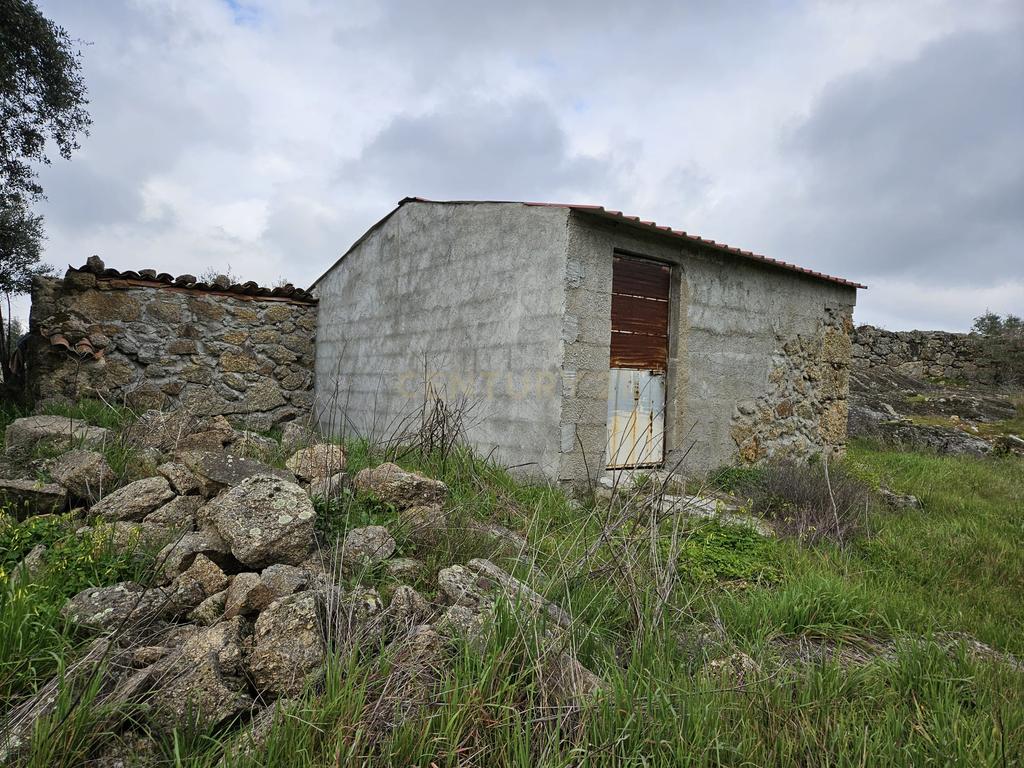 Quintinha na Lousa, Castelo Branco - Image 9