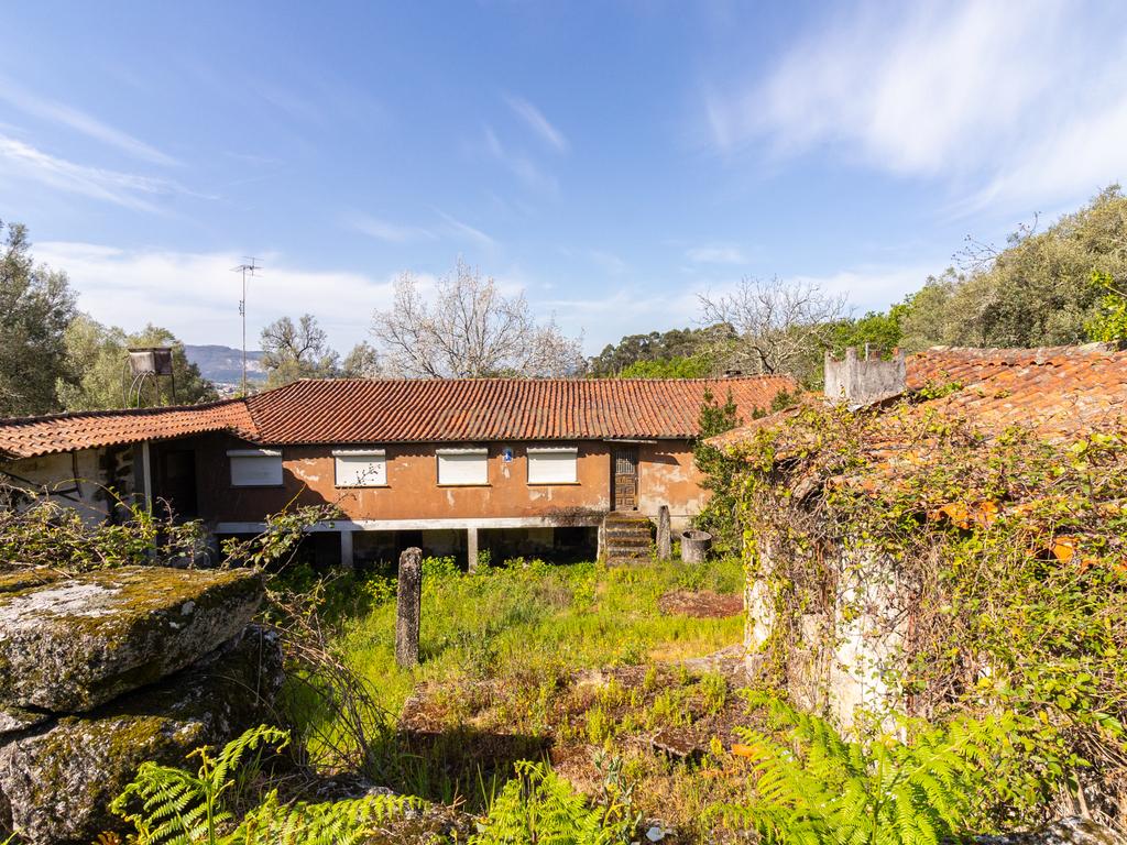 🌿 Quinta Rústica com 15.075 m² | Para Recuperar | Póvoa de Lanhoso, Braga - Image 23