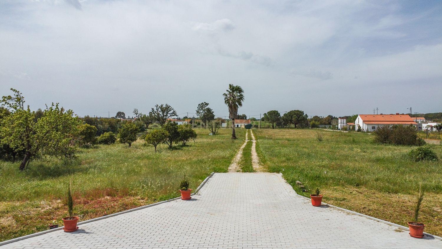 Moradia Térrea com 1 Hectare e Piscina – Palmela , Lagoa do Calvo - Image 4