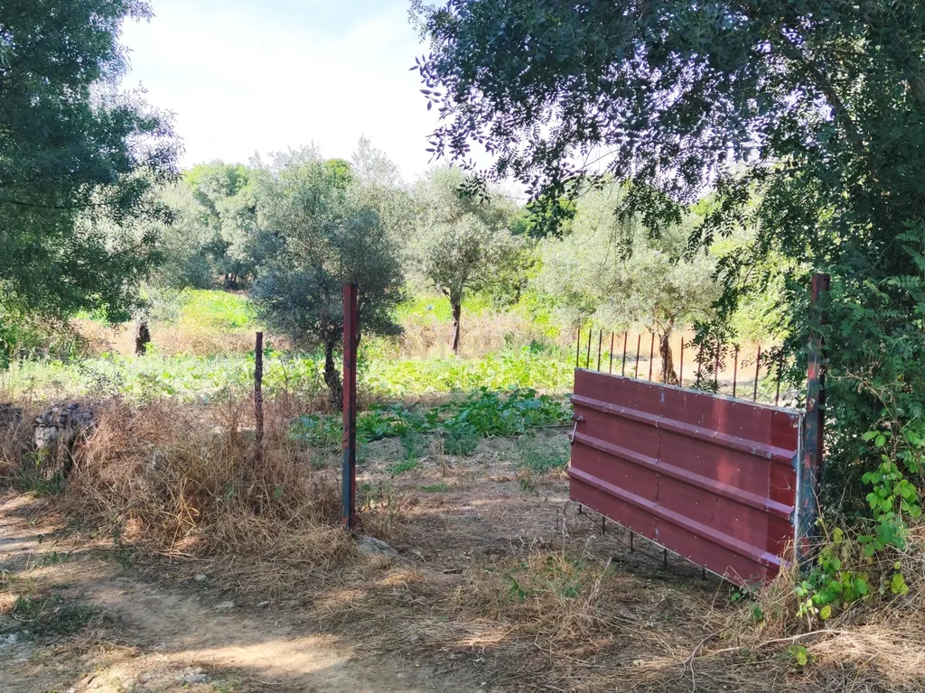 Oportunidade! Terreno de regadio, Benquerença, Penamacor - Image 19