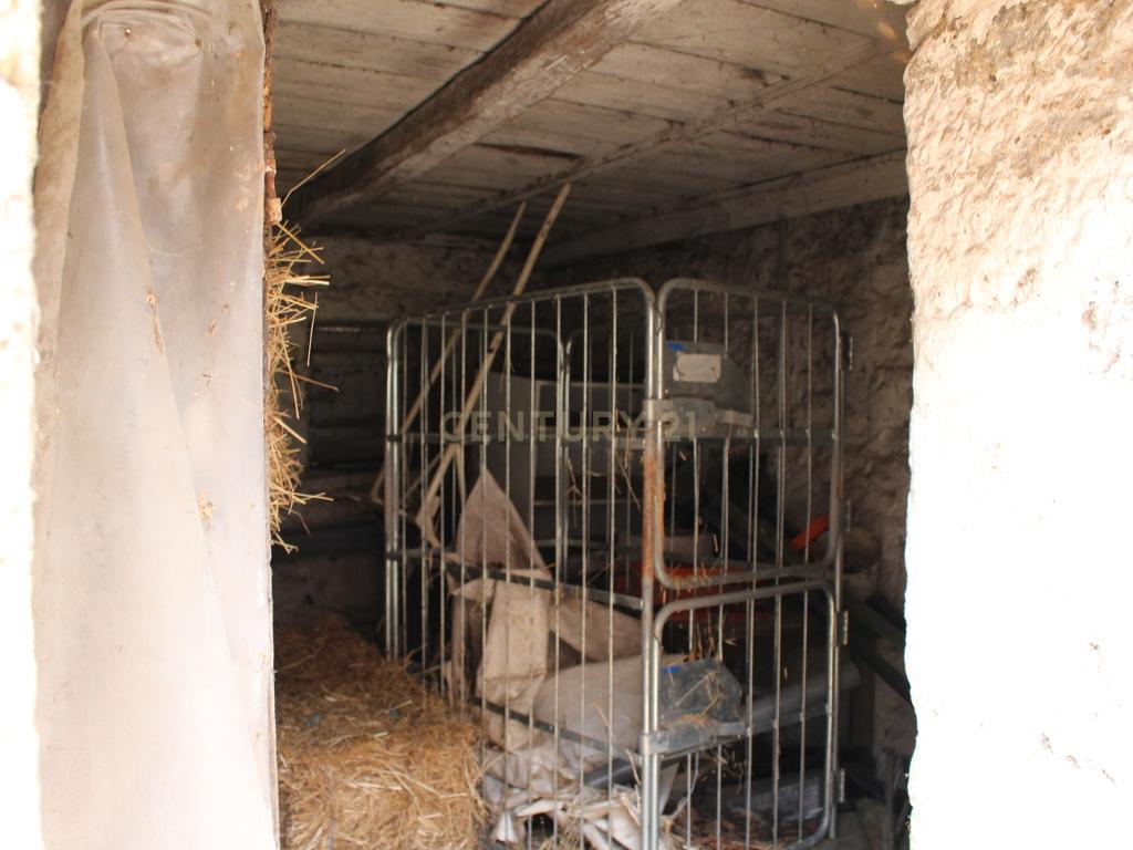 Moradia para restauro - oportunidade de investimento Paços de Ferreira, Figueiró - Image 10