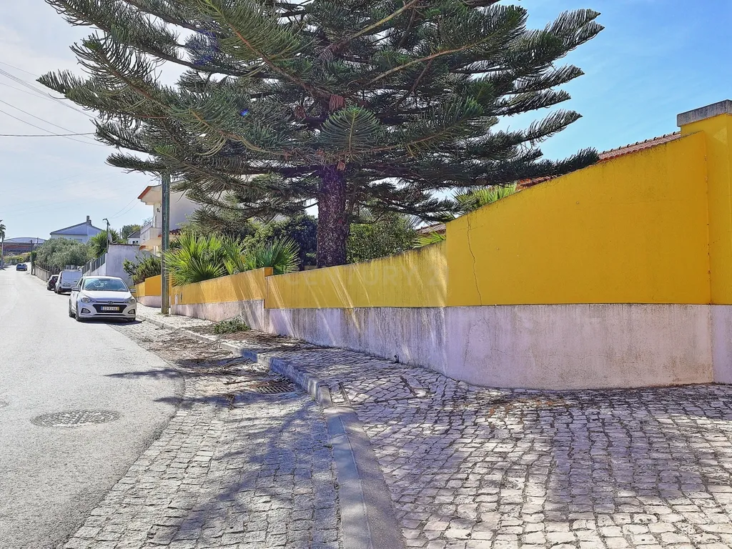 Oportunidade de Investimento, moradia com 6.500 m² de Terreno - Image 30