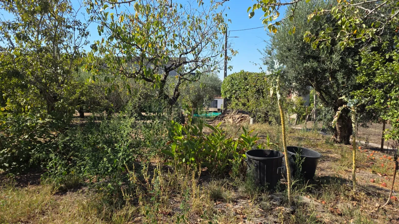 Moradia T2 à venda em Almagreira, Pombal — foto 40