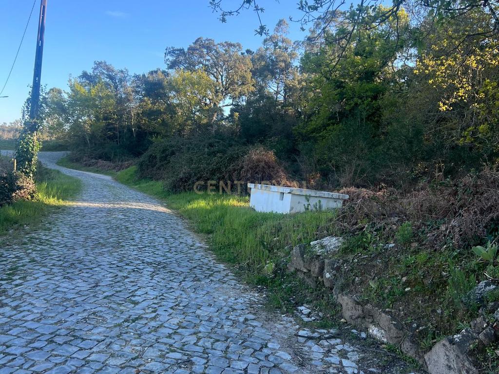 Terreno com 12.900 m² e Vistas Desafogadas na Tapada – Figueiró dos Vinhos - Image 1