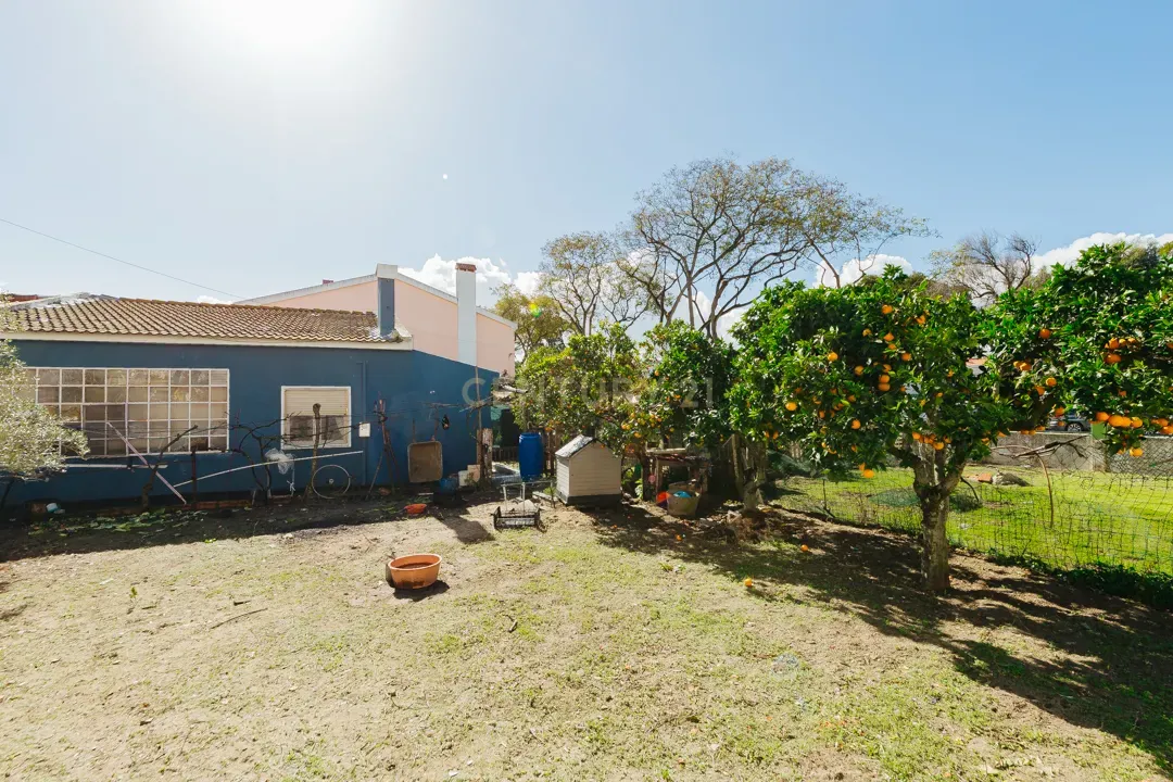 Montijo/Excelente Lote de Terreno com 1056m2 e Moradias para Remodelacao. - Image 16
