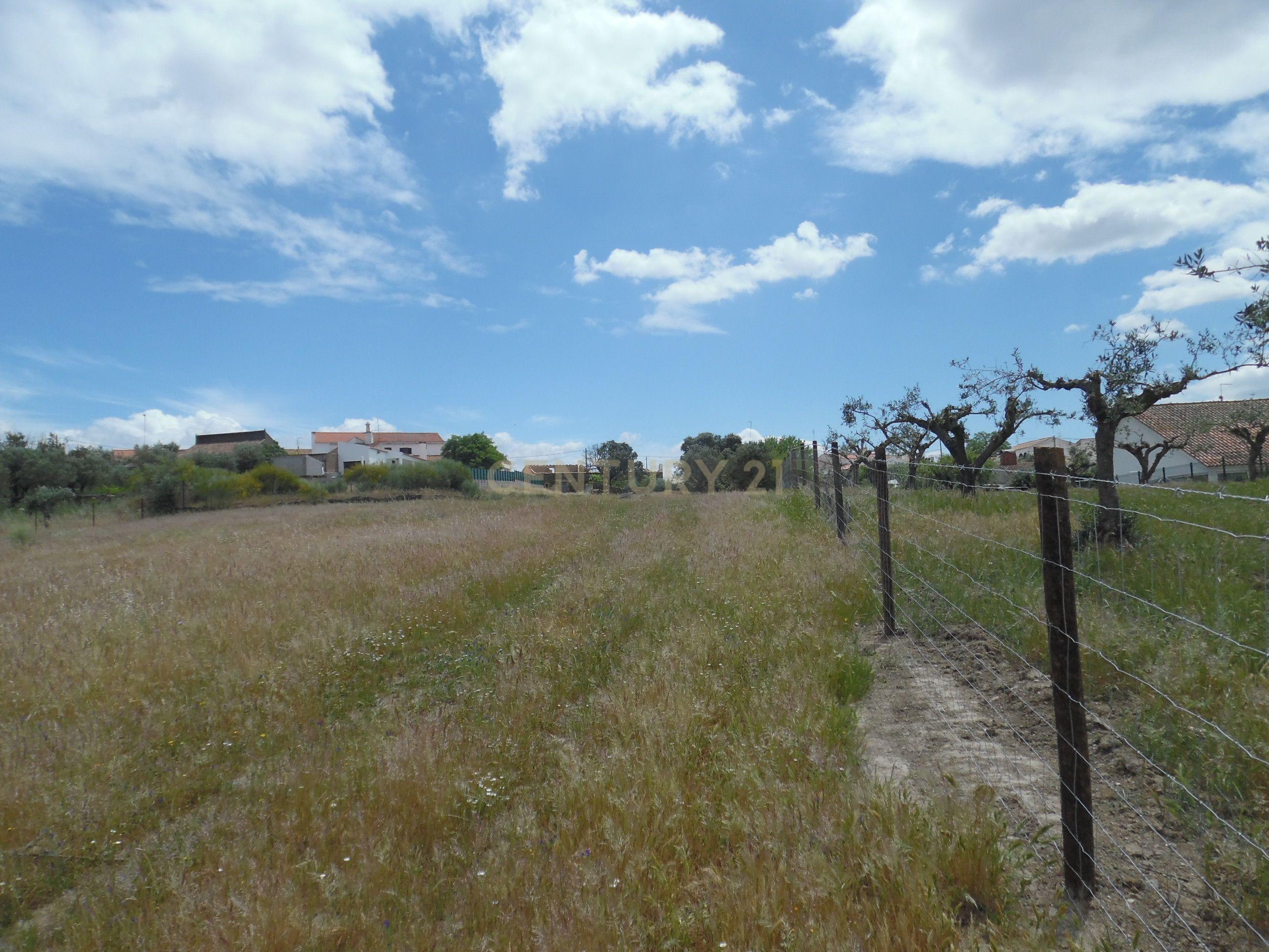 Moradia T3 à venda em Capelins (Santo António), Alandroal — foto 36