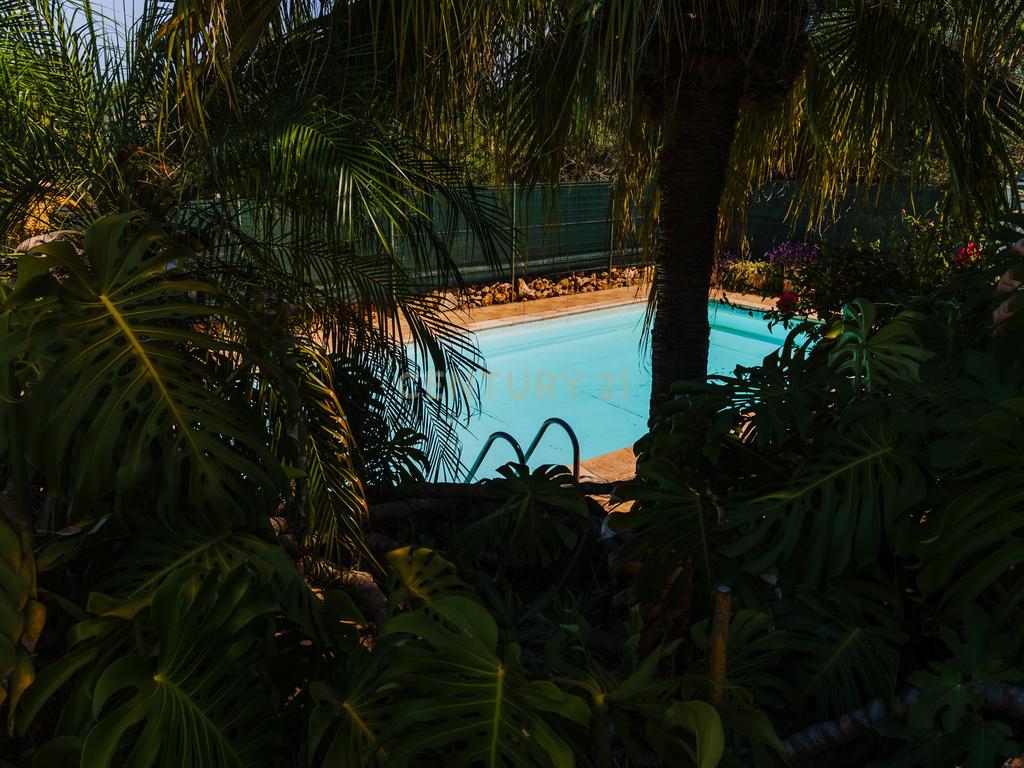 Quinta com 8660 m2 com Moradia, piscina e dois terraços panorâmicos em Silves - Image 8
