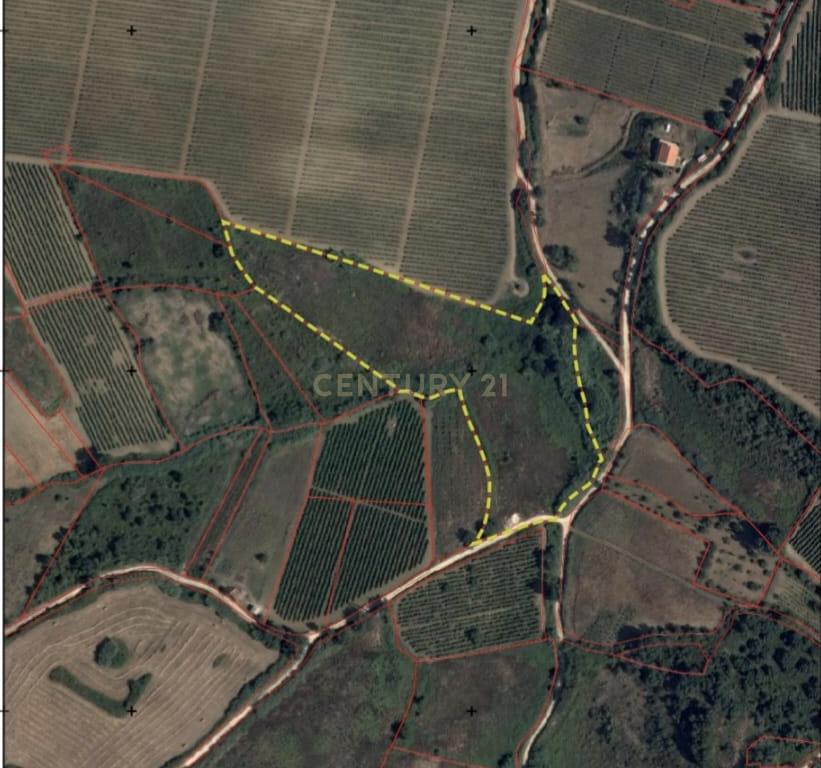 Terreno Misto - Alenquer - Image 5