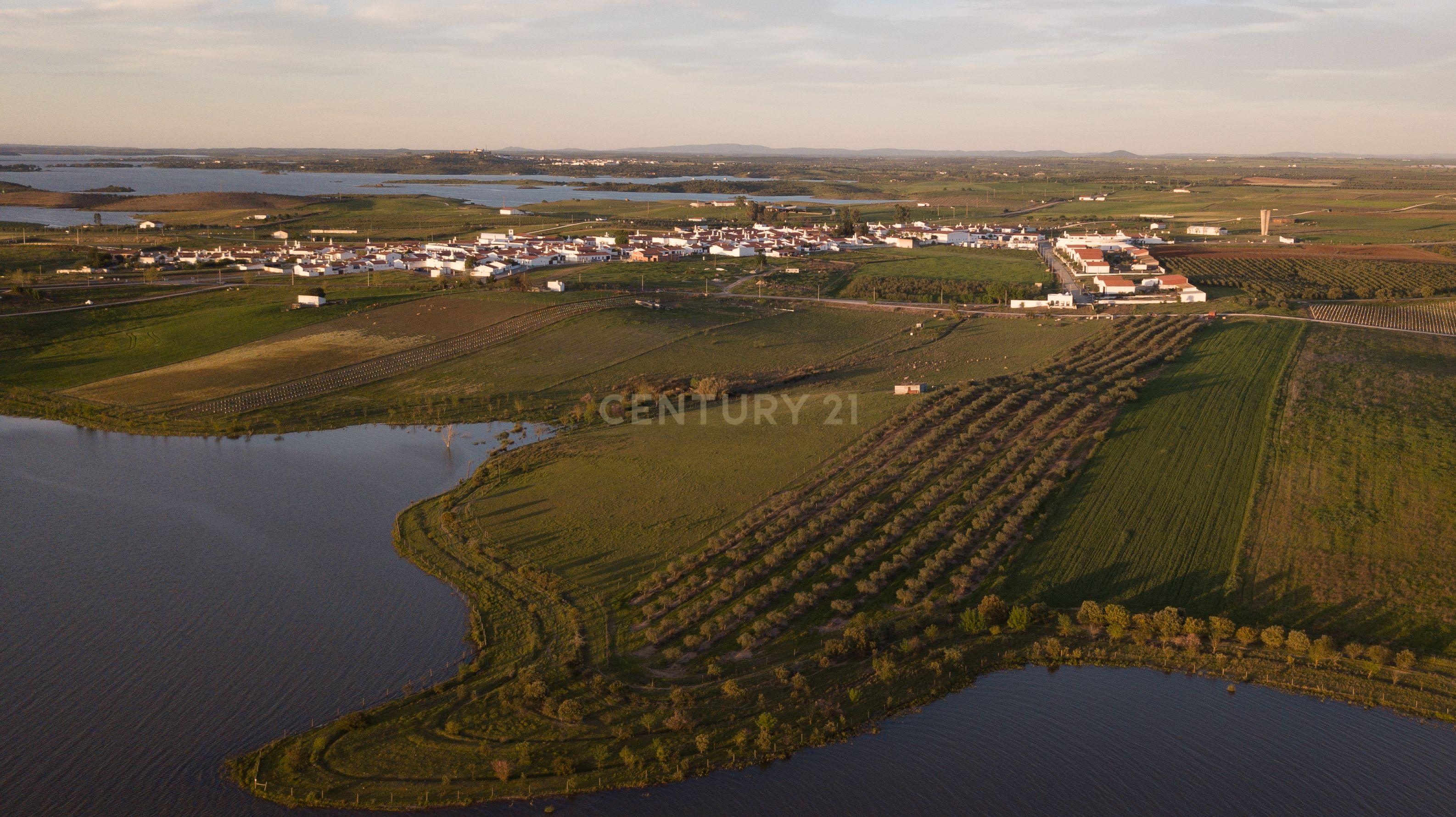Fotografia 4 de Terreno Rústico com Vista Privilegiada para o Alqueva - Luz, Alentejo