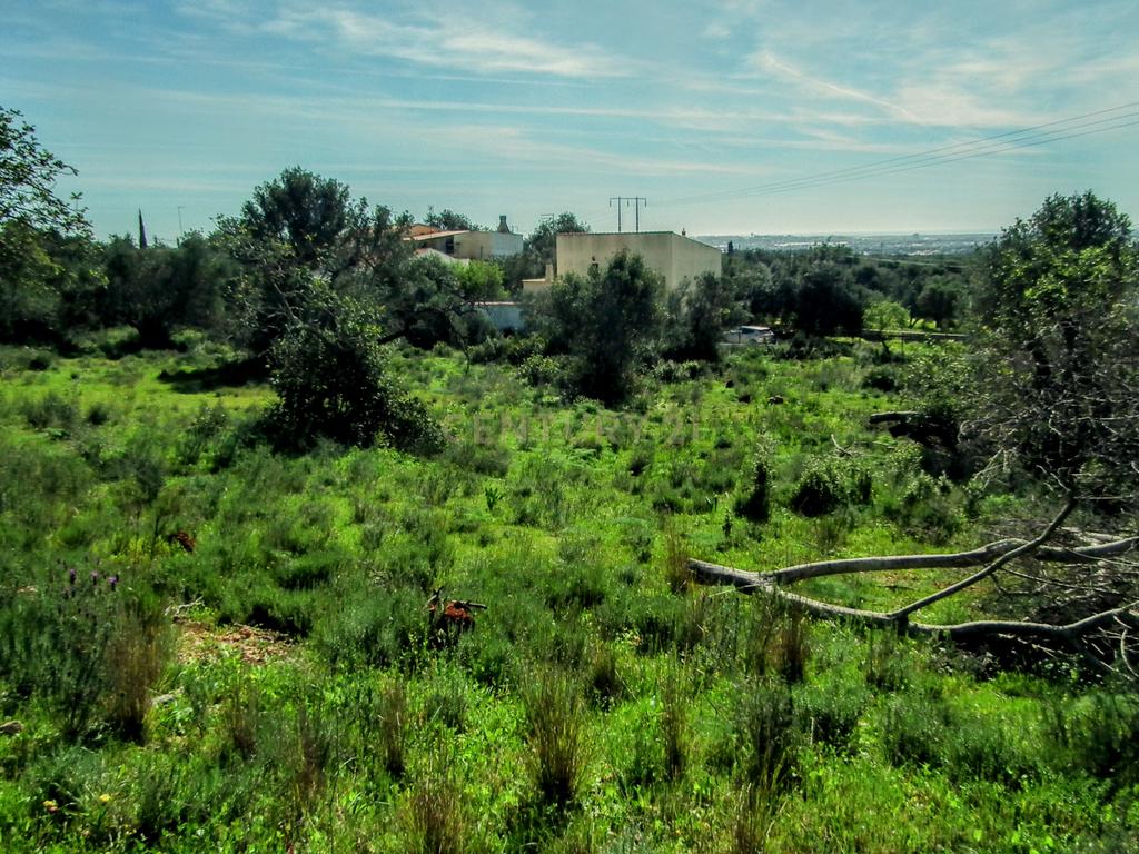 Terreno Rústico em Faro com Vista Panorâmica e Acesso Fácil - Image 18