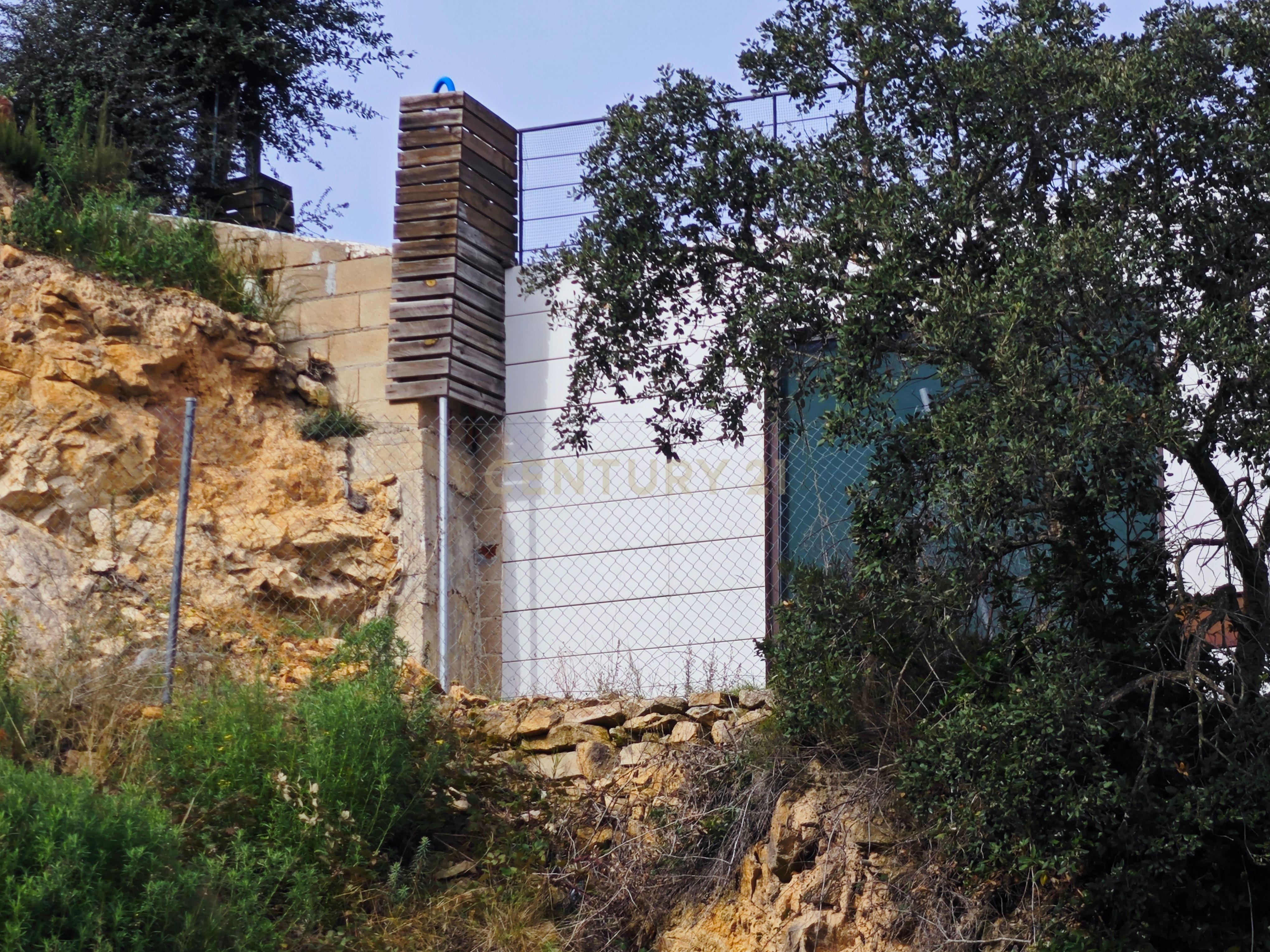 - Image 3
