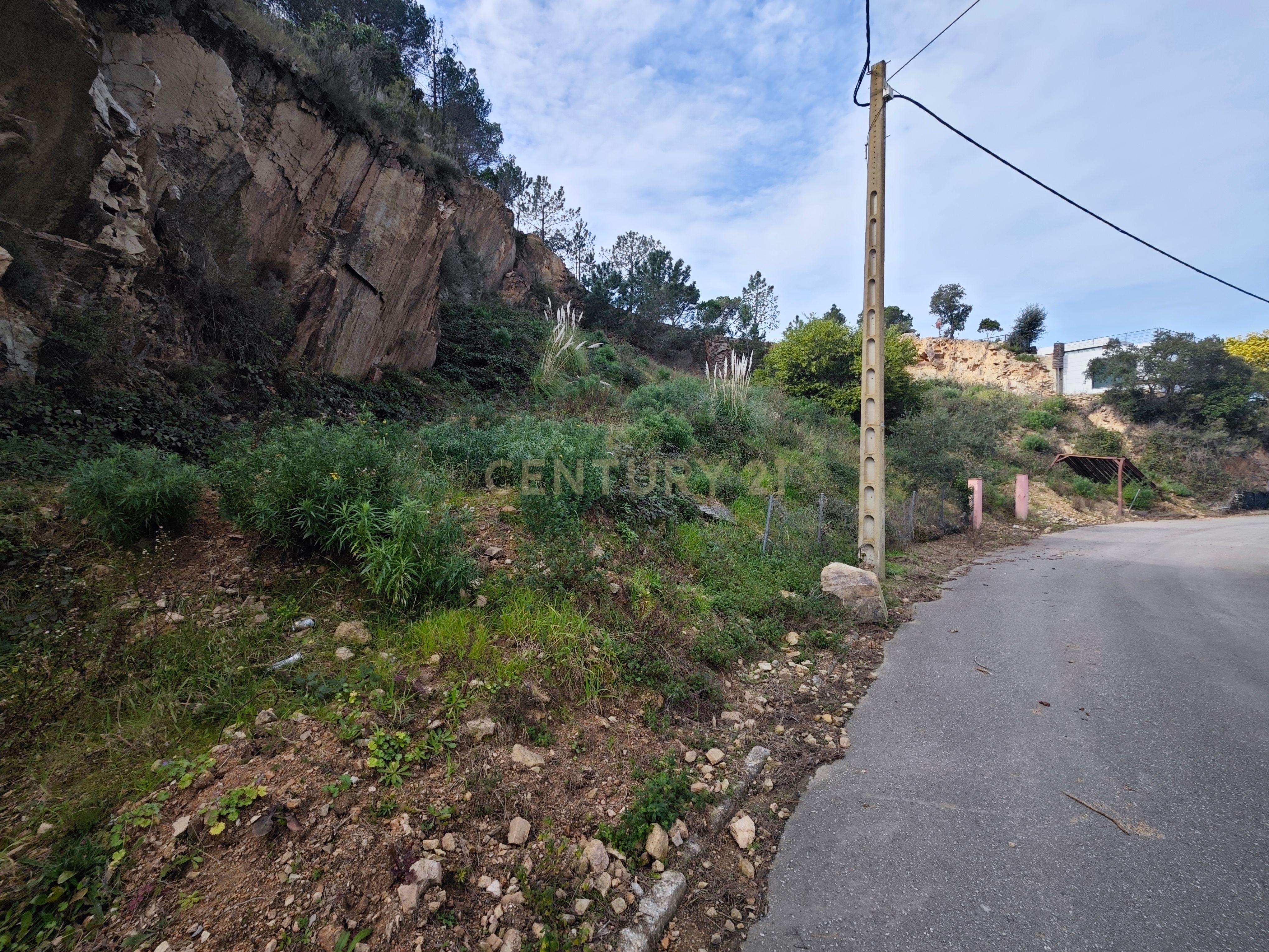 - Image 11