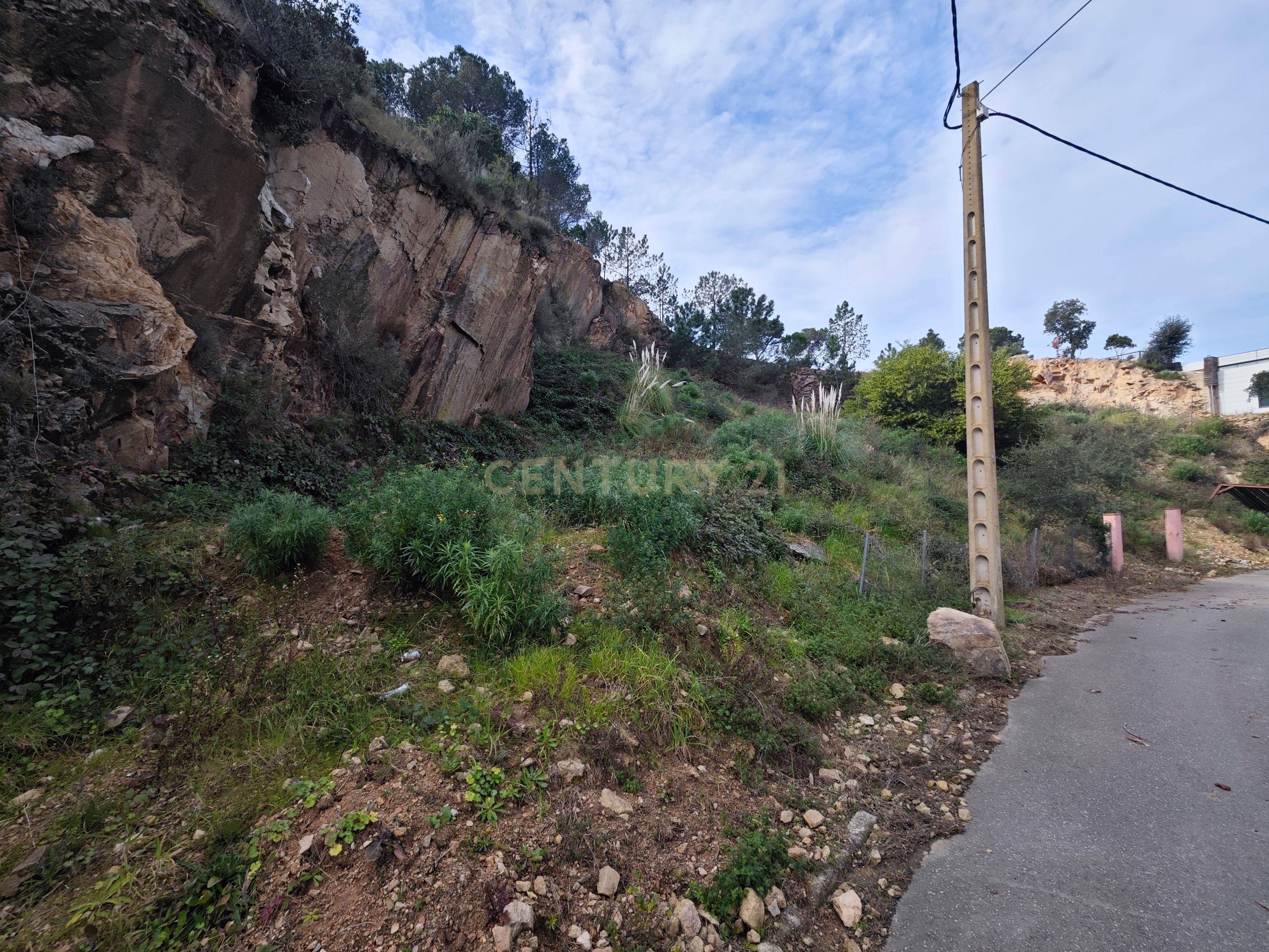 - Image 10