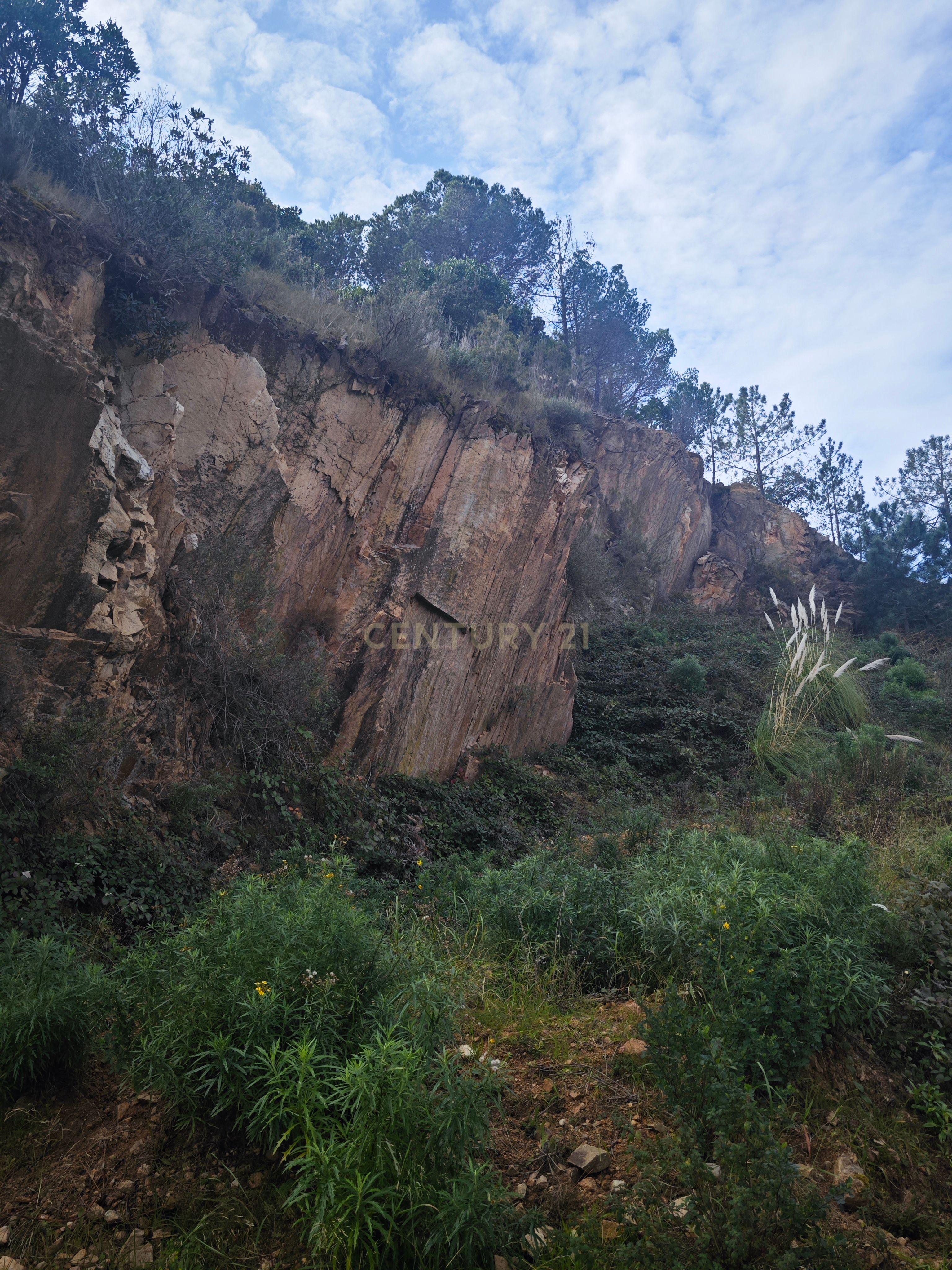 - Image 2