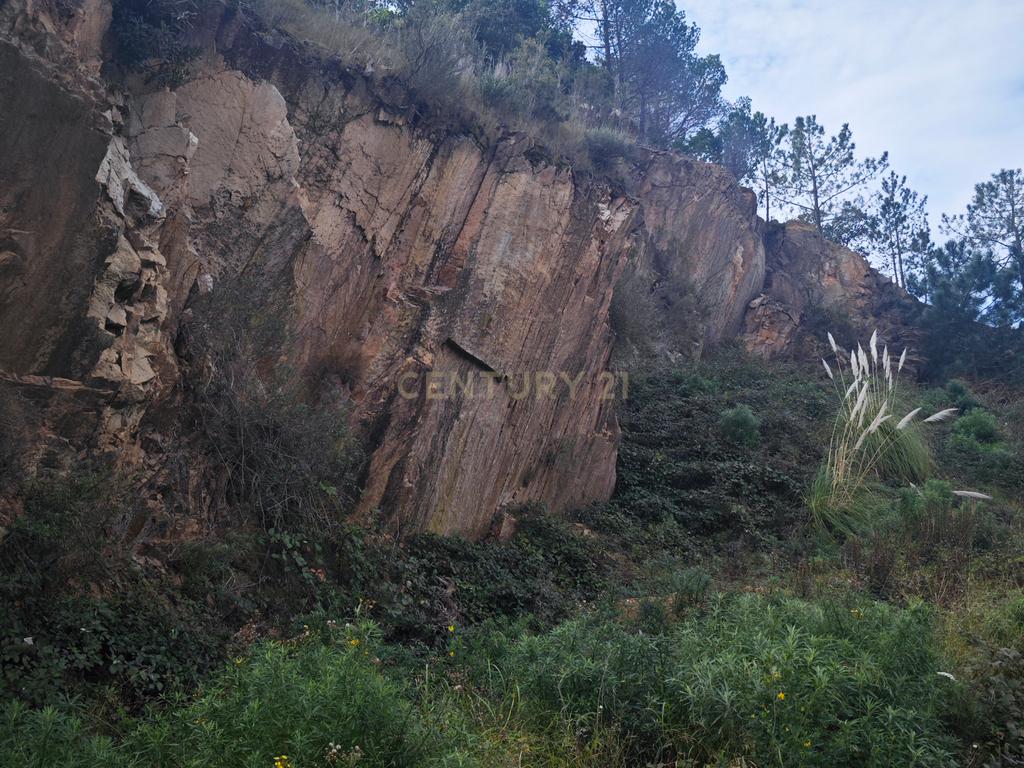  - Image 3