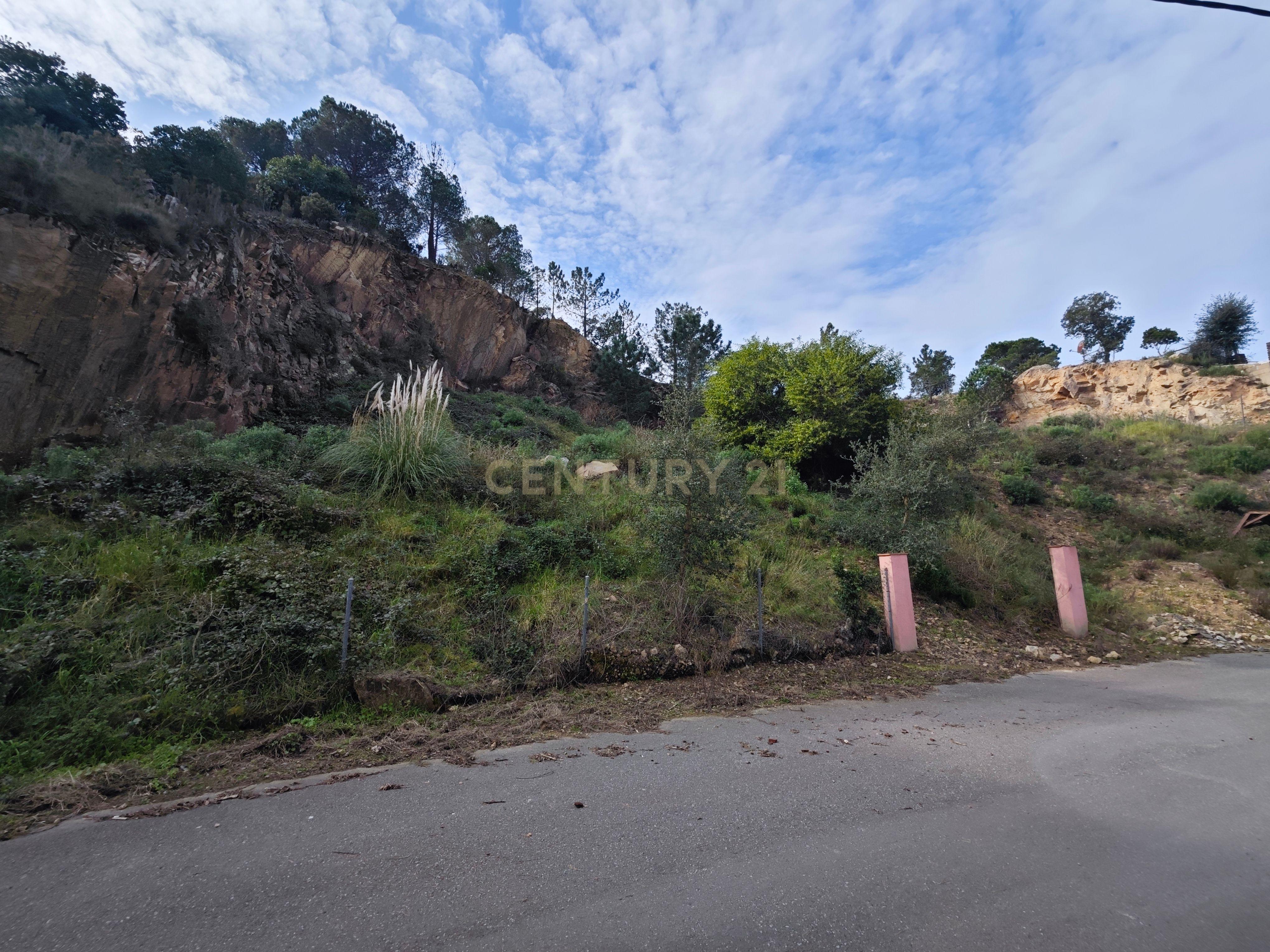 - Image 9