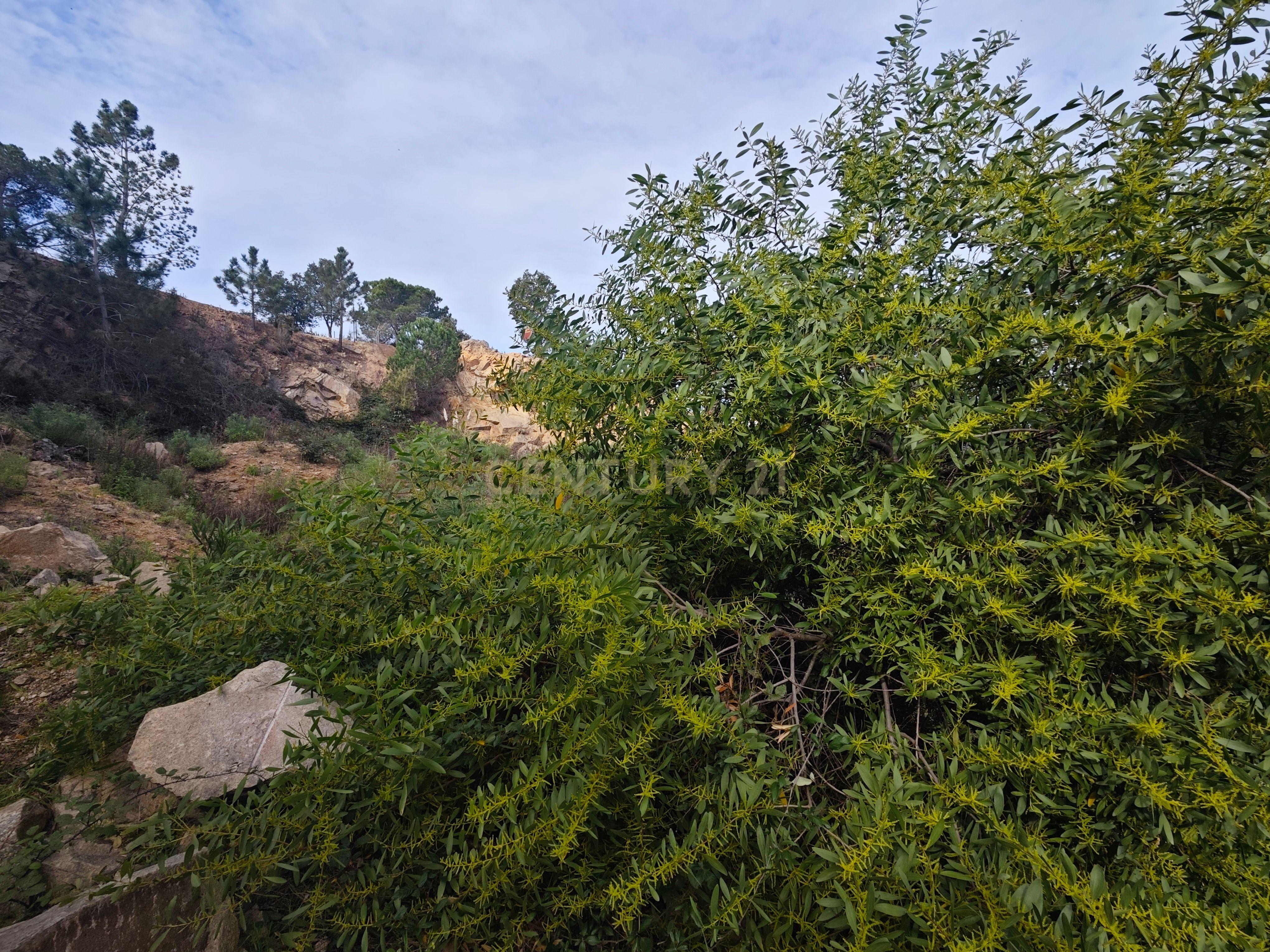 - Image 6