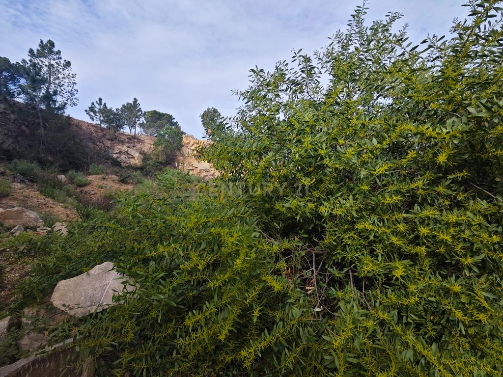  - Image 7