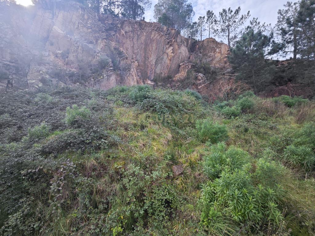  - Image 12