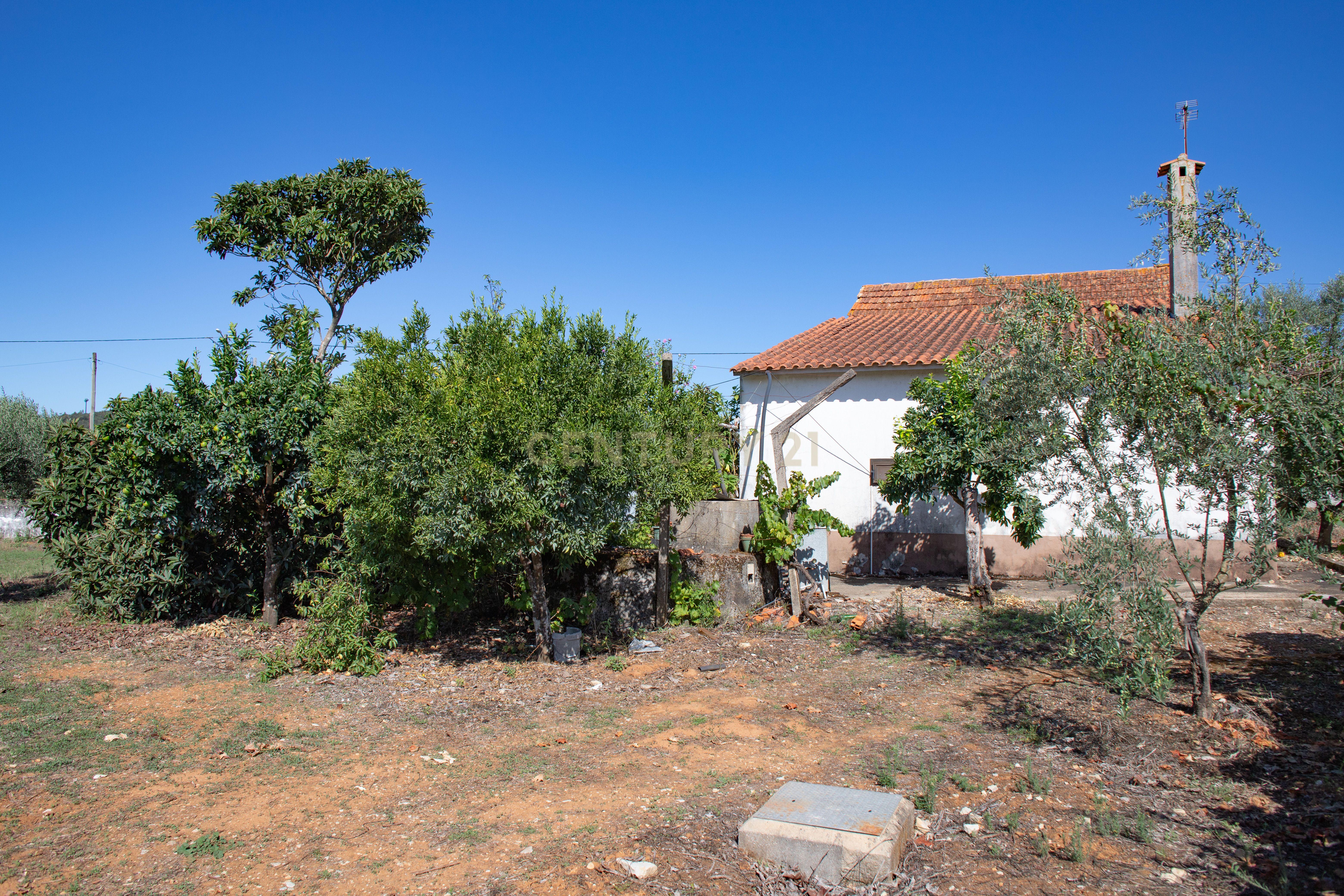 Moradia T5 à venda em Areias e Pias, Ferreira do Zêzere — foto 21