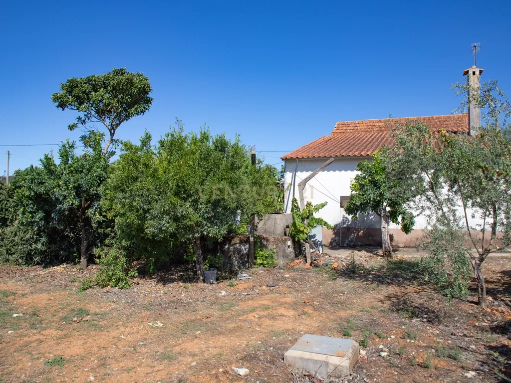 Duas moradias em Avecasta Ferreira do Zêzere - Image 21