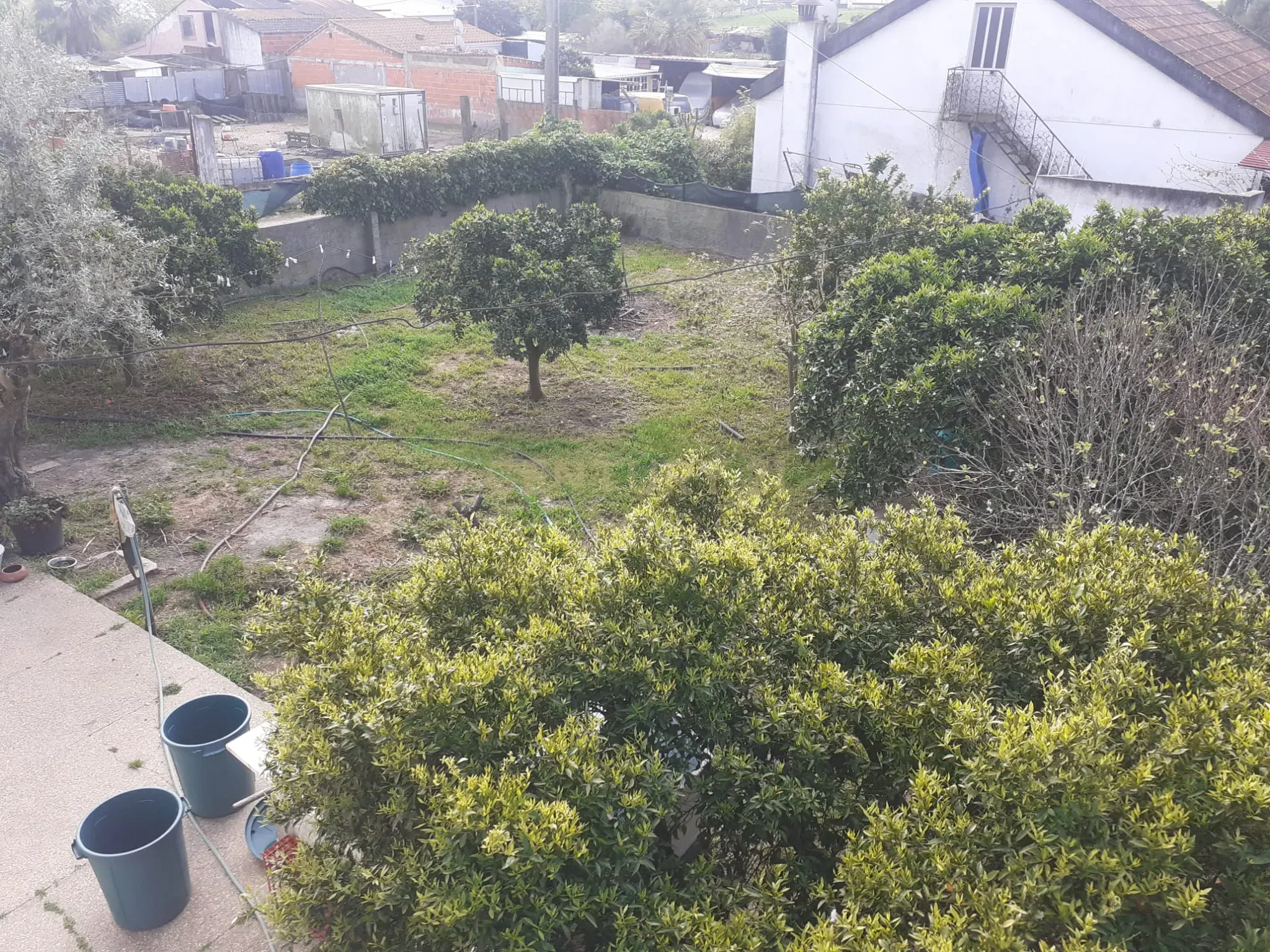 Fotografia 8 de Exclusivo | Terreno com Benfeitorias em Santo Isidro de Pegões