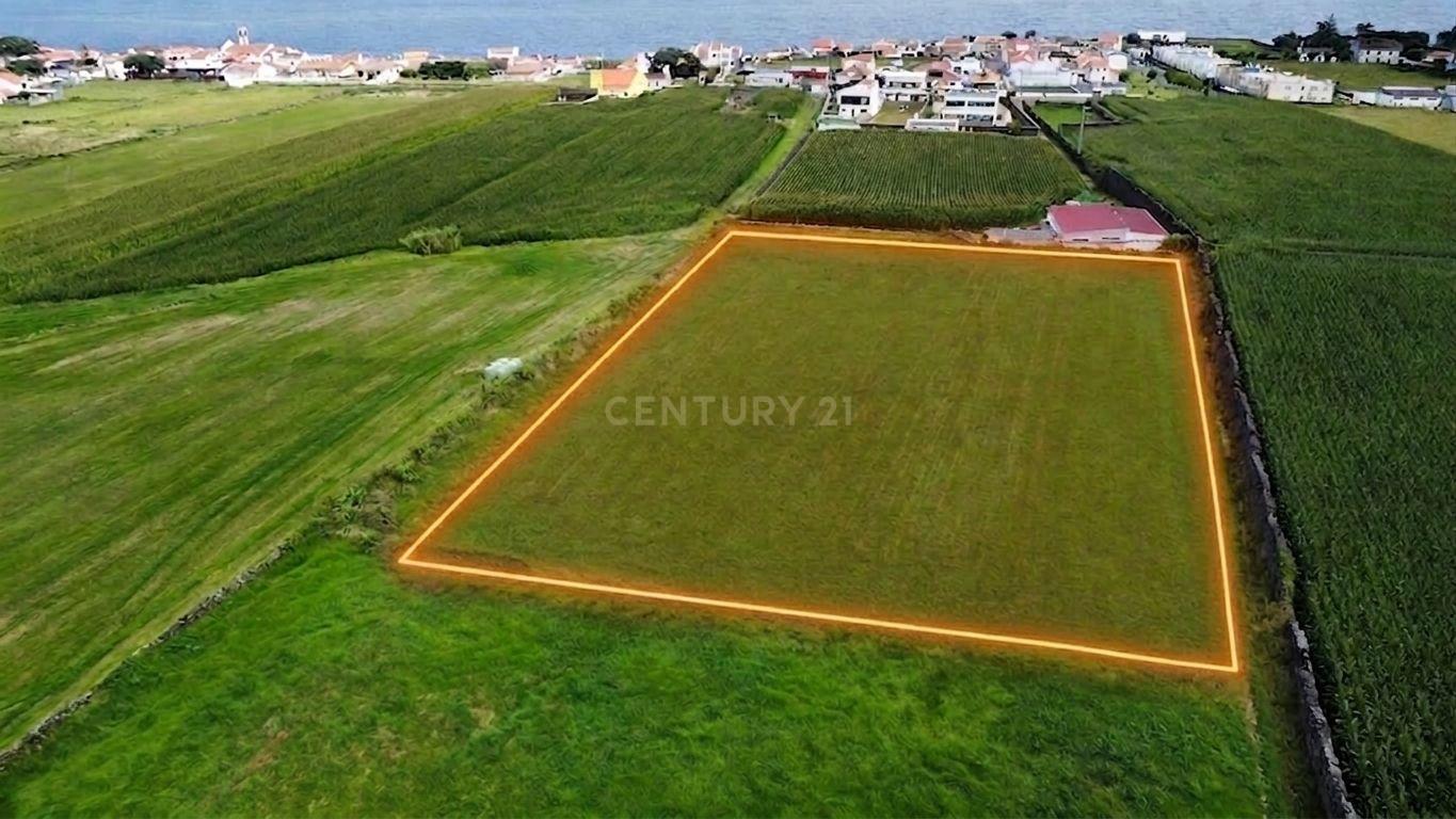 Fotografia 2 de Terreno Agrícola Plano com 6.240 m² | Excelente Exposição Solar | Calhetas