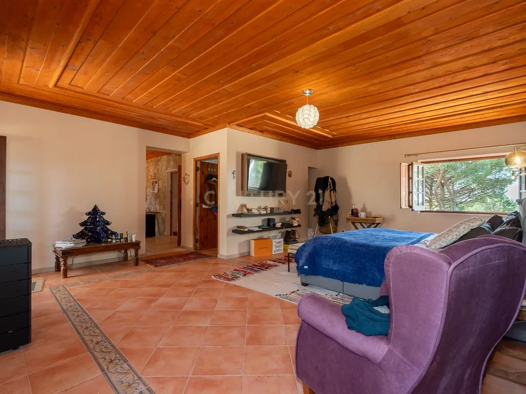 Fabulosa Quinta com lote de terreno de 22.381 m2, onde se encontra inserida uma moradia composta por dois pisos, com uma área bruta de 623 m2, uma área útil de 304 m2 e uma área bruta dependente de 319 m2, localizada em Santo Isidro de Pegões, na zona de Pegões, a pouca distância das belas praias de Setúbal. - Image 37
