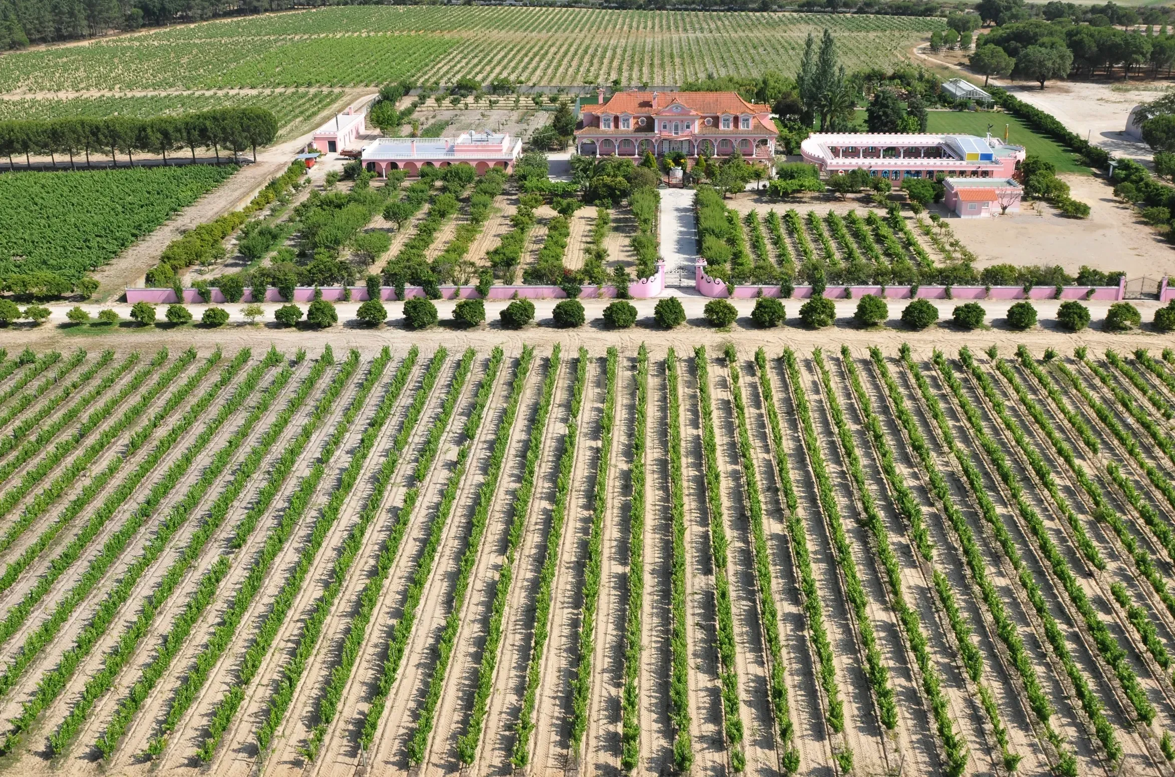 Herdade Dos Mascarenhas com 102 hectares em Palmela - Image 1