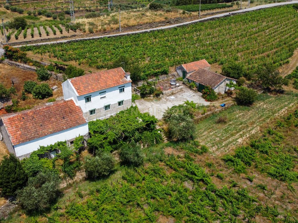 Quinta Encantadora T4 em Tabuaço, Viseu - Image 9