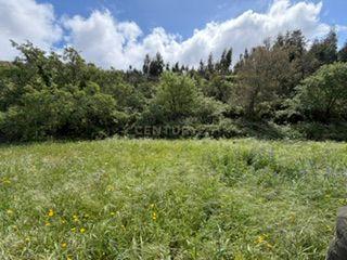 Fotografia 7 de Terreno rústico para venda em Mafra