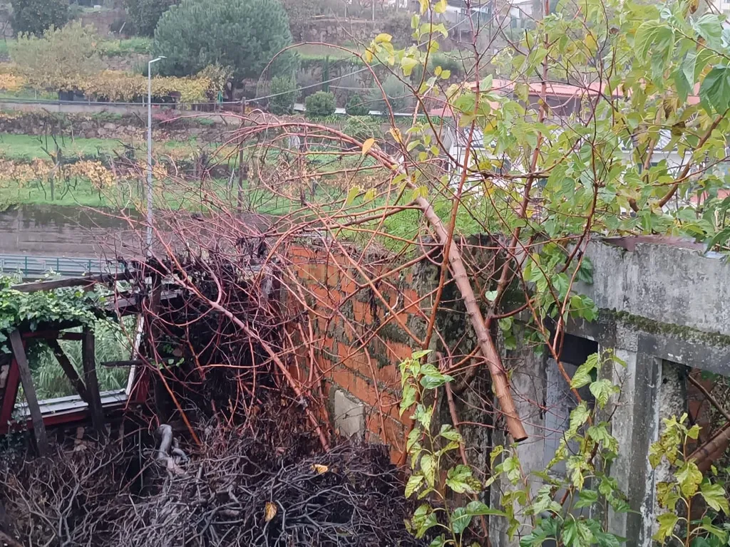 Grande moradia em ruina com terreno junto ao ribeiro, para reconstrução, nas Lages, em Stª Marinha do Zêzere, Baião, Porto. - Image 14