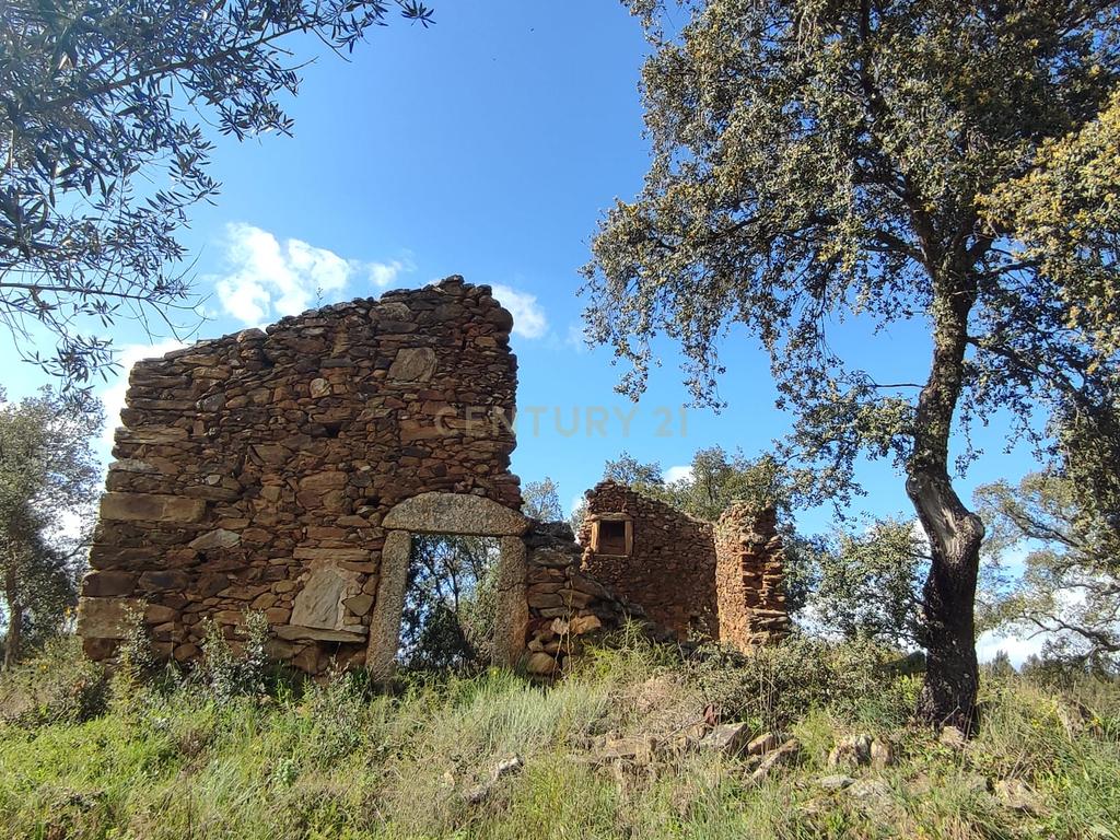 Quinta 54ha, Escalos de Baixo, Castelo Branco - Image 10